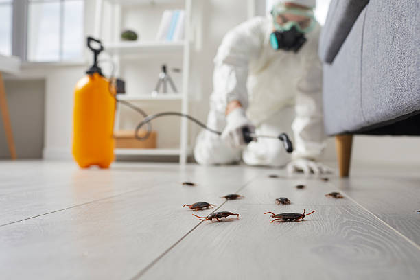Commercial Rodent Management in Trappe